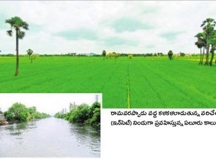 కృష్ణమ్మ ఒడిలో జీవజలం