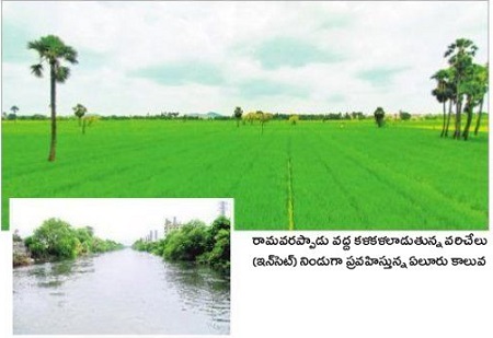 కృష్ణమ్మ ఒడిలో జీవజలం