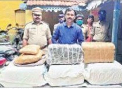 77 కిలోల గంజాయి పట్టివేత