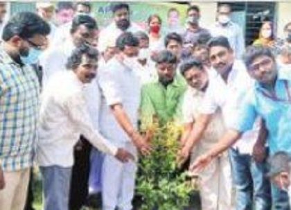 మొక్కల సంరక్షణ బాధ్యత చేపట్టాలి