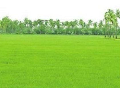 హర్షపాతం