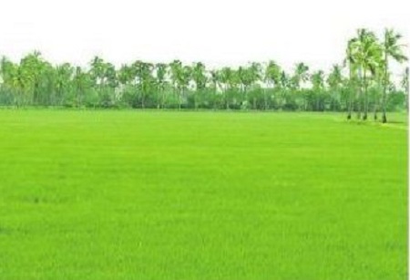 హర్షపాతం
