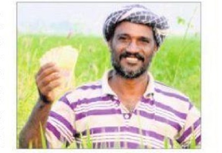 రైతులకు నేడే దీపావళి