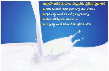 పొంగనున్న పాలకుండ