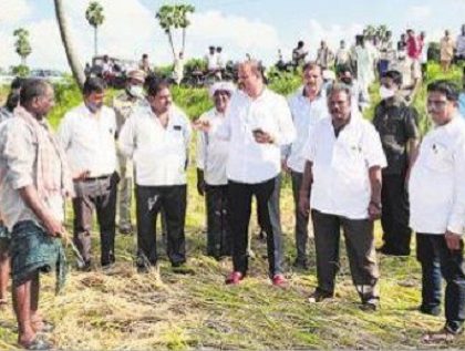 నష్టపోయిన రైతులను ఆదుకుంటాం