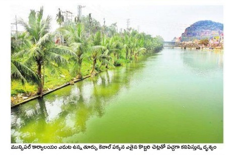 ఆనందం... ఆహ్లాదం...