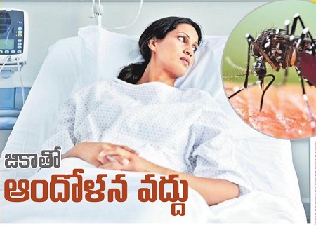 జికాతో ఆందోళన వద్దు