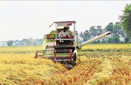 ముమ్మరంగా ఖరీఫ్ పనులు