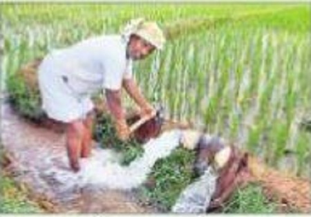 అసలైన సాగుదారులకు దన్నుగా..