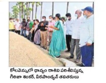 ఆర్‌బీకేల్లో ధాన్యానికి మద్దతు ధర