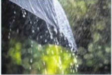 నేడు దక్షిణ కోస్తాకు వర్ష సూచన