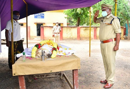 డాలీకి అధికార లాంఛనాలతో అంత్యక్రియలు