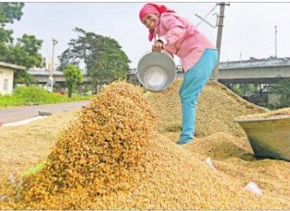 దిగుబడులు ఘనం