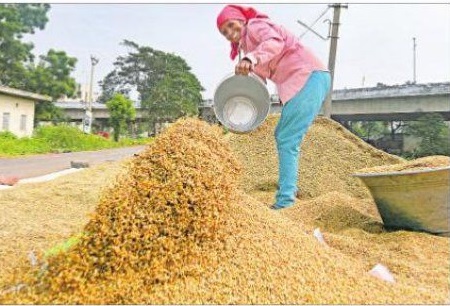దిగుబడులు ఘనం