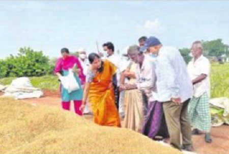 వరించిన ధాన్యం కొనుగోల్