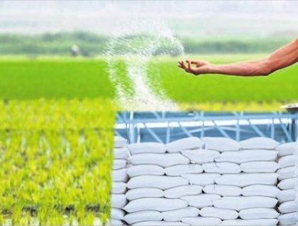 సమృద్ధిగా ఎరువులు
