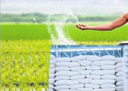 సమృద్ధిగా ఎరువులు