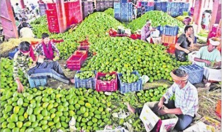 రైతు కష్టం.. ఇక ఫలప్రదం