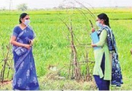 మొక్కల పెంపకంతో పర్యావరణ రక్షణ