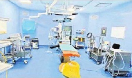 గుండెకు అండదండ