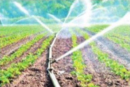 సూక్ష్మంలో లాభం