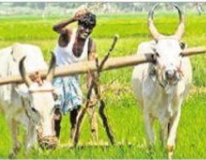 అన్నదాతకు విరివిగా రుణాలు