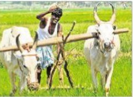 అన్నదాతకు విరివిగా రుణాలు