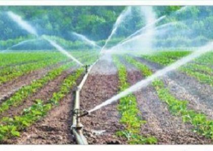 లాభసాటిగా సూక్ష్మసేద్యం