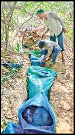 నాటుసారా తయారీ పదార్ధాల ధ్వంసం