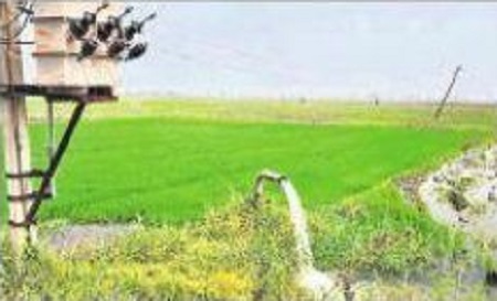 ఎకరం కూడా ఎండకూడదు