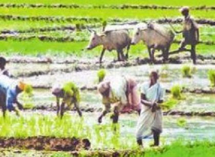 ముందస్తు.. మస్తు!