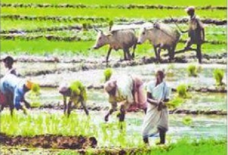ముందస్తు.. మస్తు!