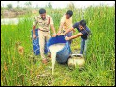 వెయ్యి లీటర్ల బెల్లం ఊట ధ్వంసం