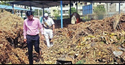 గ్రీనరీతో ఆహ్లాదకర వాతావరణం తీసుకురావాలి