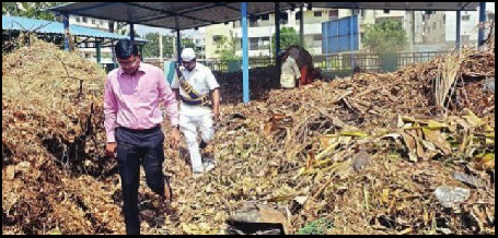 గ్రీనరీతో ఆహ్లాదకర వాతావరణం తీసుకురావాలి