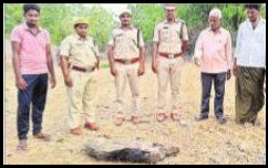 వన్యప్రాణుల సంరక్షణకు ప్రత్యేక చర్యలు