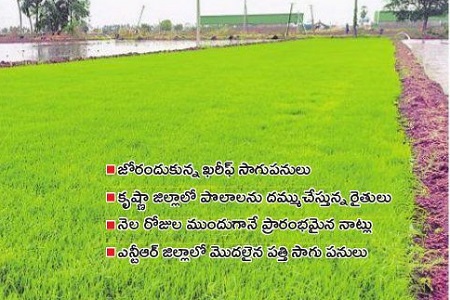 వరీఫ్ పులకింత