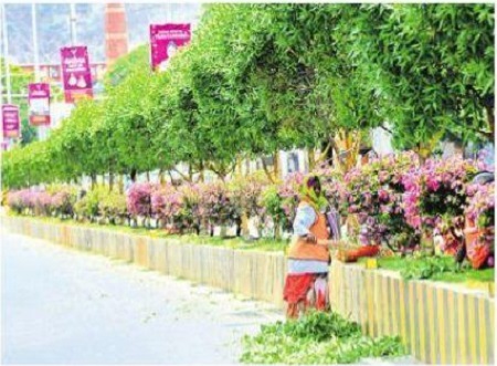 పచ్చందాల బెజవాడ