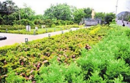 బెజవాడలో పచ్చందం..