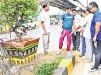 గ్రీనరీని ఆహ్లాదకరంగా అభివృద్ధి చేయాలి