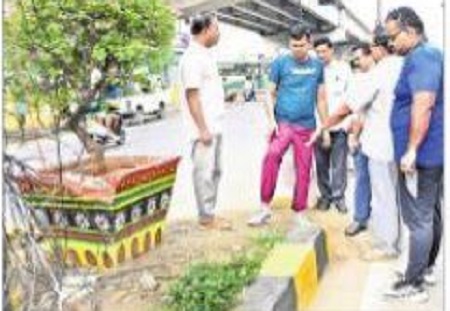 గ్రీనరీని ఆహ్లాదకరంగా అభివృద్ధి చేయాలి
