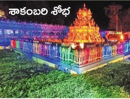 నేటి నుంచి ఇంద్రకీలాద్రిపై  శాకంబరీ  ఉత్సవాలు