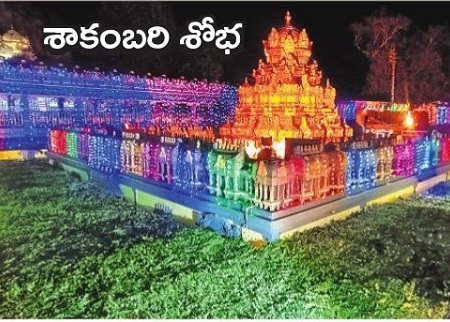నేటి నుంచి ఇంద్రకీలాద్రిపై  శాకంబరీ  ఉత్సవాలు