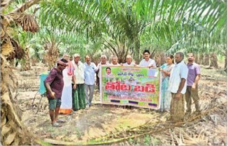 ఉద్యాన బాట