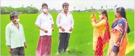 దేశవ్యాప్తంగా ఈ - క్రాప్