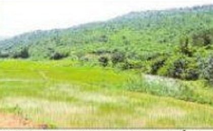 'మత్తు'కు ముకుతాడు