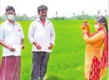 నేటి నుంచి 'ఈ - క్రాప్'