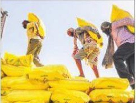 ఎరువులు పుష్కలం