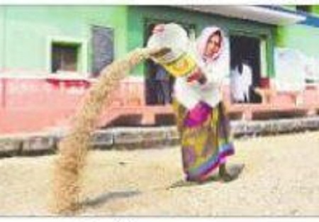 ఆర్బికేల వద్ద వే బ్రిడ్జిలు