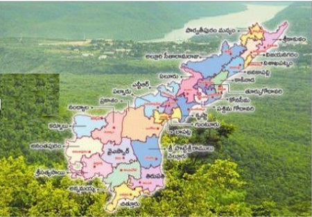 అటవీ శాఖ పునర్వ్య వస్థీకరణ